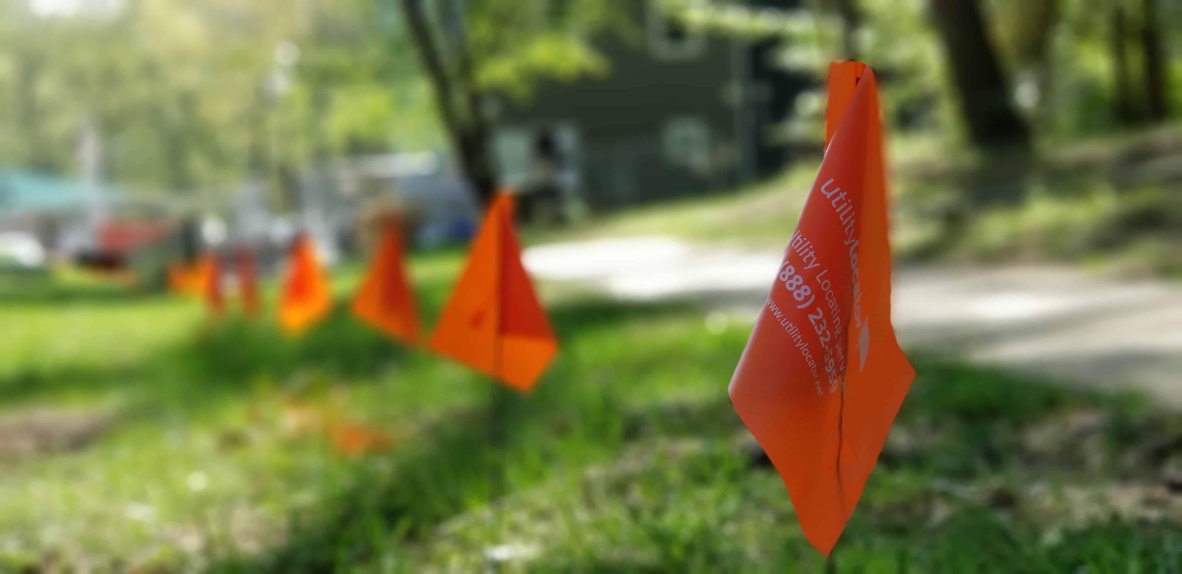 What are these little colored flags in my yard?